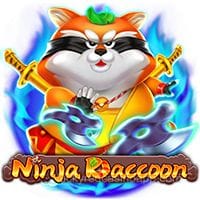 Ninja Raccoon